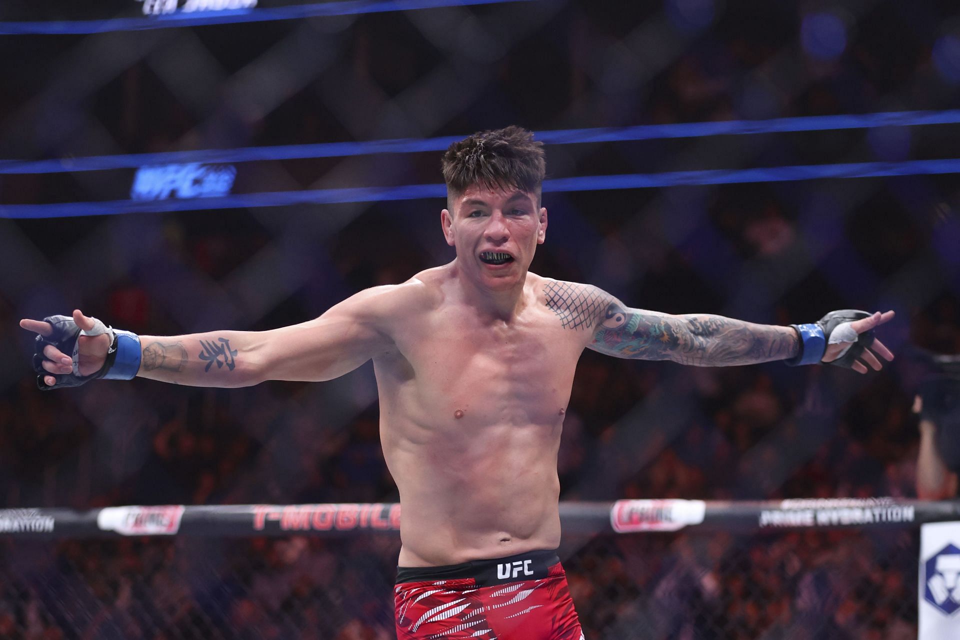 UFC 313: Pereira v Ankalaev